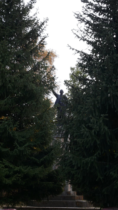 Lenin-Statue versteckt hinter Nadelbäumen
